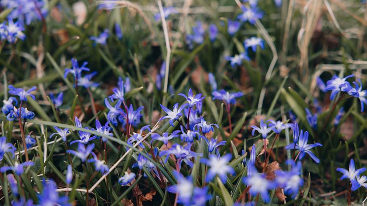 träffa kollegor i april