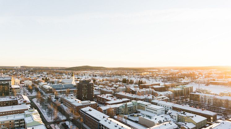 Skellefteåföretagare nöjdare med kommunens service