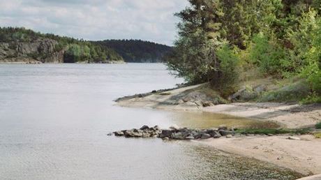 HaV klar med regler för miljöstatus på svenska sjöar, vattendrag och kustvatten