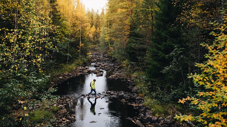 Vandring och naturupplevelser på hösten