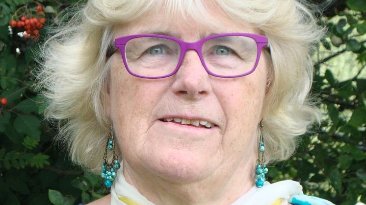 Karin Fridell Anter, ordförande för föreningen Stöttepelaren