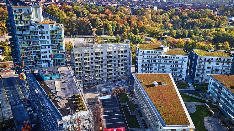 Montering av sedumtak i Lund