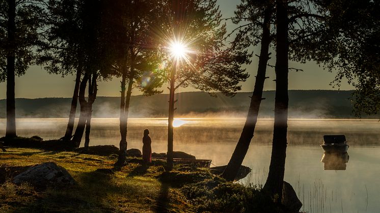 Finnskogen sommernatt Mona Nordøy.jpg