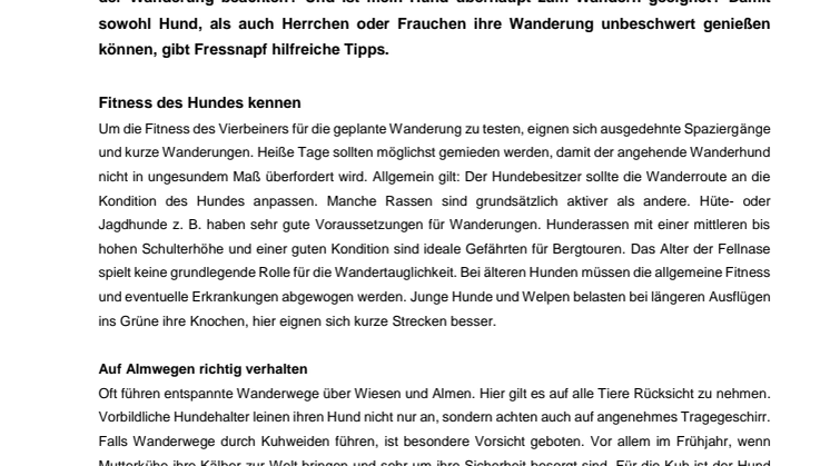 Herbstwandern mit Hund - Tipps für entspannte Wanderungen mit dem Vierbeiner