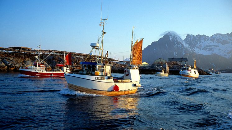 Skreifiske i Nordnorge 