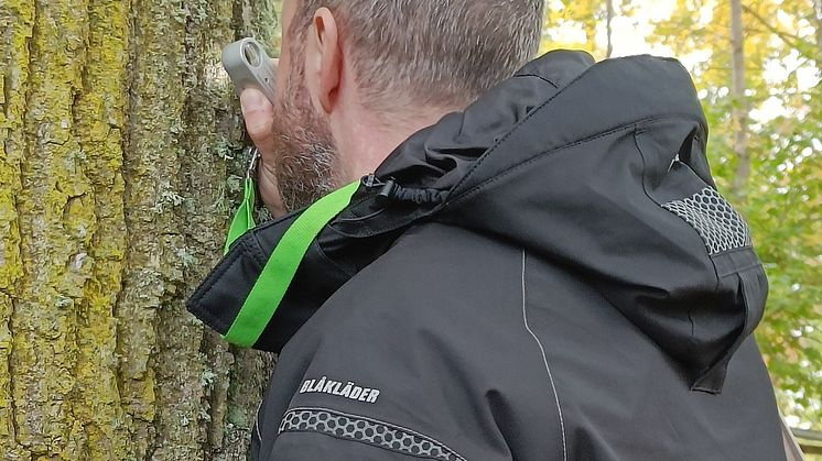 Naturvärdesinventering ekstam