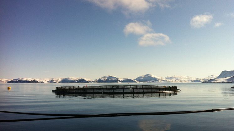 Sjøanlegg ved Slettnes i Finnmark