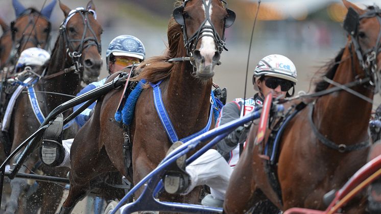 ATG Live – nu hos Boxer och Com Hem