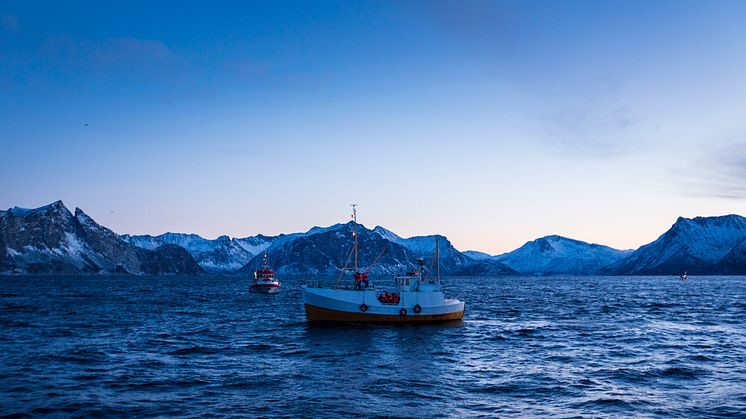 Genauso wie früher fahren die Skreifischer mit ihren kleinen Booten gegen 4 Uhr morgens aufs Meer hinaus, um Skrei mit der Langleine und Handangel zu fangen.