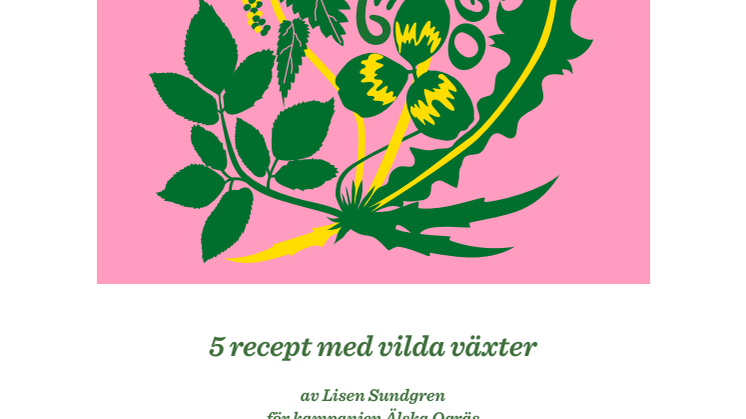Lisen Sundgren Ogräsrecept.pdf