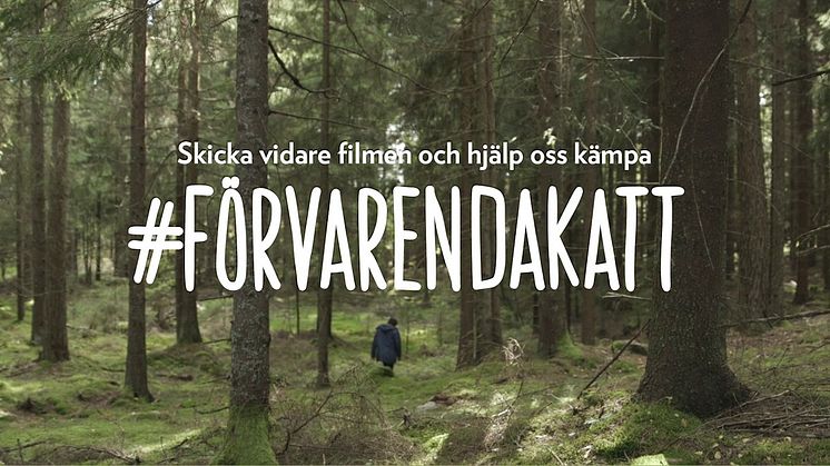 Informationskampanj #Förvarendakatt film 1