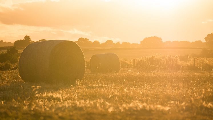 stephen-radford-unsplash
