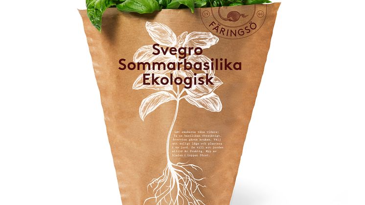 Sommarbasilika