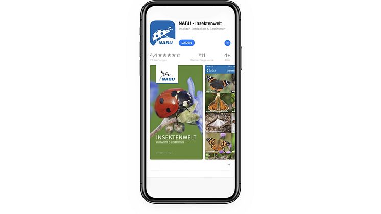 Mit der App Insektenwelt, die der NABU mit Unterstützung von dm entwickelt hat, können mehr als 120 Insektenarten erkannt werden