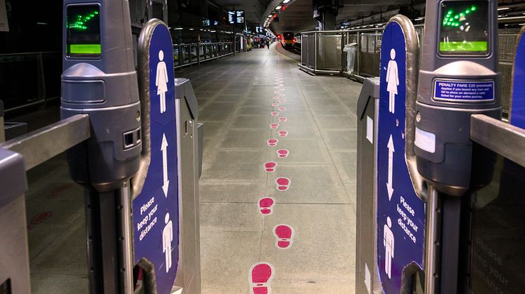 The footsteps are on display for a week