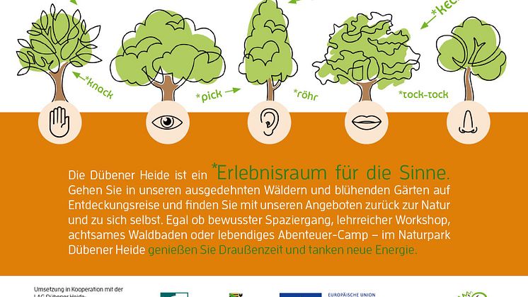 Postkarte Wald-er-LEBEN 