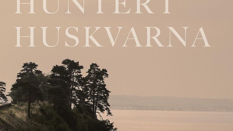 Stridsberg_Hunter i Huskvarna.jpg