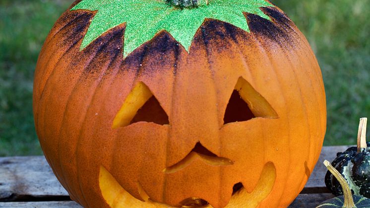 Dekorerad pumpa_Halloween