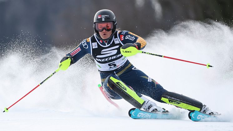 Swenn_Larsson_SL_Kranjska_G_2025.JPG