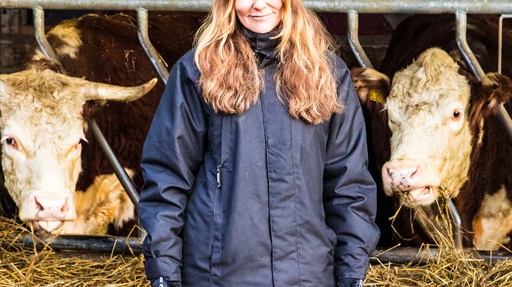 Isabel Moretti, VD Svenskt Kött