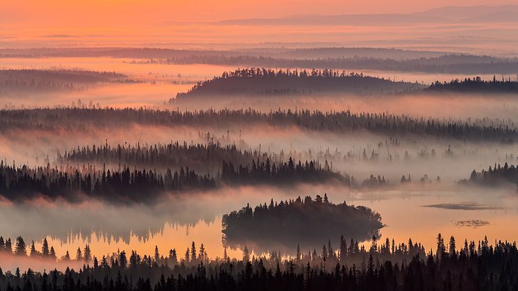 Maisemat-sarjavoittaja 2020: Elokuun aamu, kuvaaja Jarmo Manninen, Canon EOS 5D Mark III 
