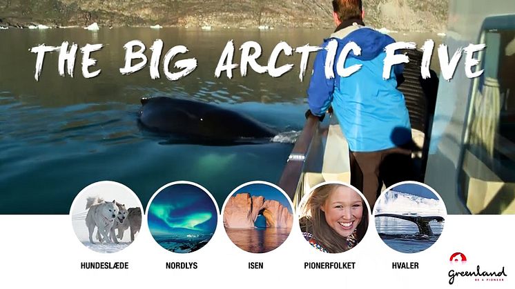 The Big Arctic Five - Oplev fem enestående arktiske attraktioner i Grønland