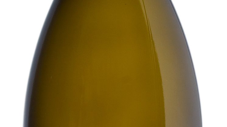 Rodney Strong - Fine Wine Producer of the Year 2016