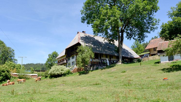  Sanierungspreis 18 - Gewinner Holz - Gebäudehebung Hägelochhof Langenschiltach