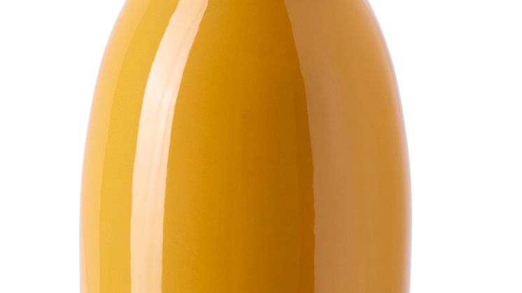 KOPPARBJÖRK vase 129 DKK