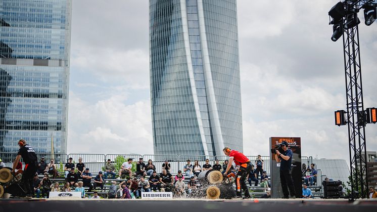 Timbersports_WT2024_Pedersen_AA_3529.jpg