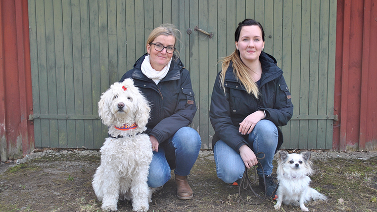 Terapihundarna Disa och Alva kammade hem bästa framsteg 2019. Hundförarna heter Carina Gidvall (Disa) och Maria Spångberg (Alva).