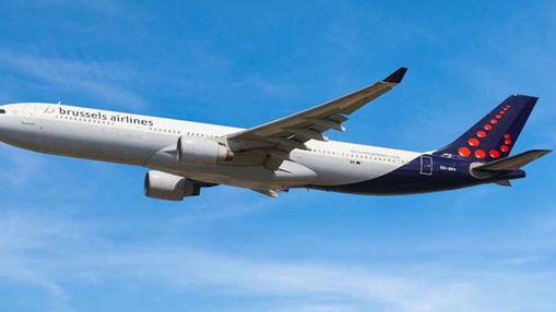 Lufthansa Cargo und Brussels Airlines Cargo starten mit enger Zusammenarbeit