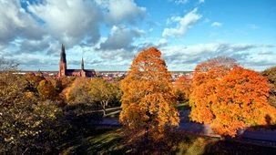 Tryggare Sverige inleder samarbete med Uppsala universitet kring offentlig-privat platssamverkan