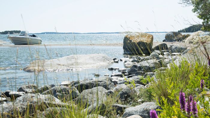 Mellan den 20-25 maj görs strandskyddstillsyn i området Rågelund-Näsbokrok. Generellt råder det strandskydd vid sjöar och vattendrag. Skyddet handlar både om att alla ska kunna vistas vid vatten och att djur- och växtlivet ska bevaras. 