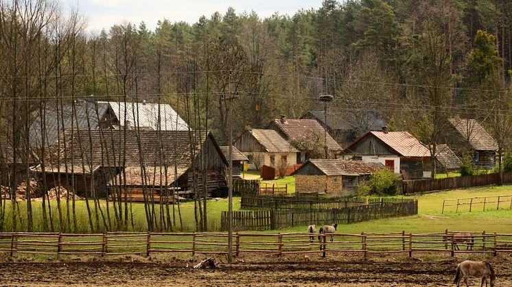 Gammal polsk by. Foto: D. Świtała