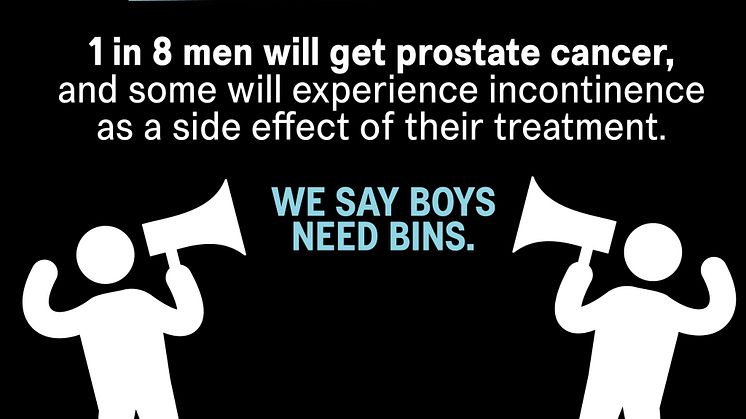 Boys Need Bins logo.jpg