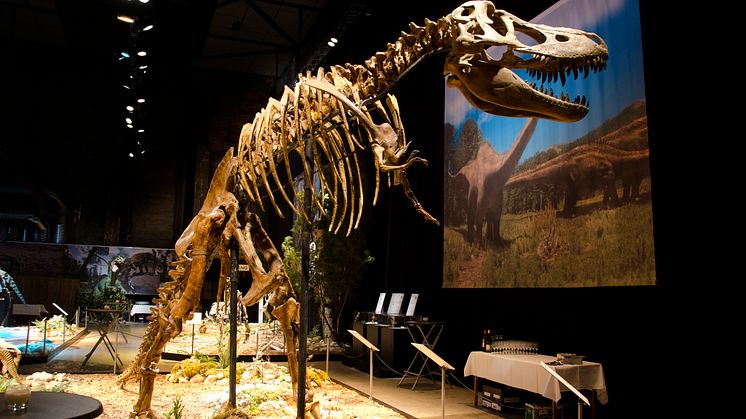 Halmstad Museum Dinosaurier