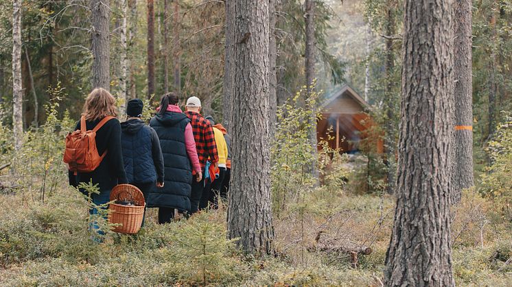 Granö Beckasin är en plats som förstärker förståelsen av vad hållbarhet är, menar Esams VD Cecilia Romeborn
