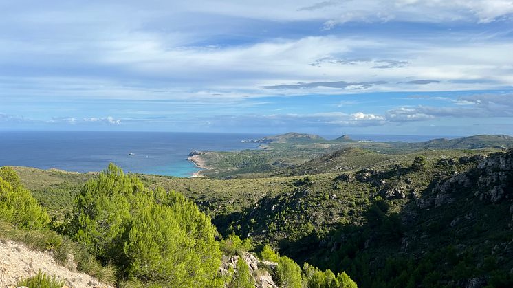 TUI Forest Mallorca_landscape 2
