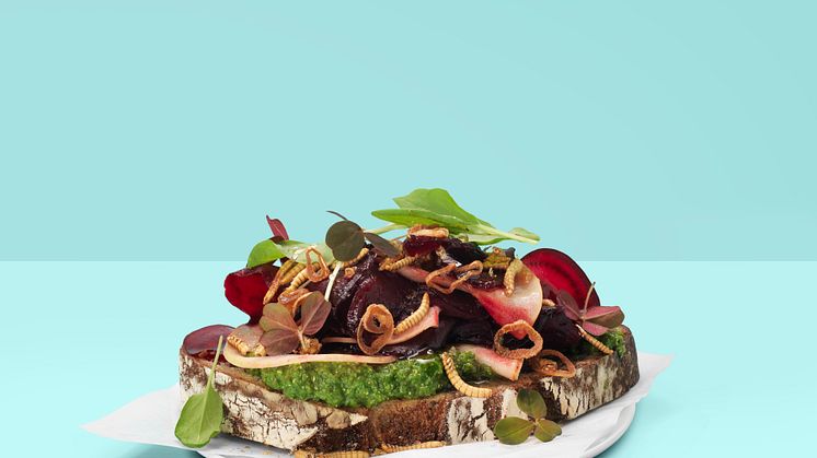 Gräshoppor och myror i framtidens lunchlåda – men brödet är huvudingrediensen