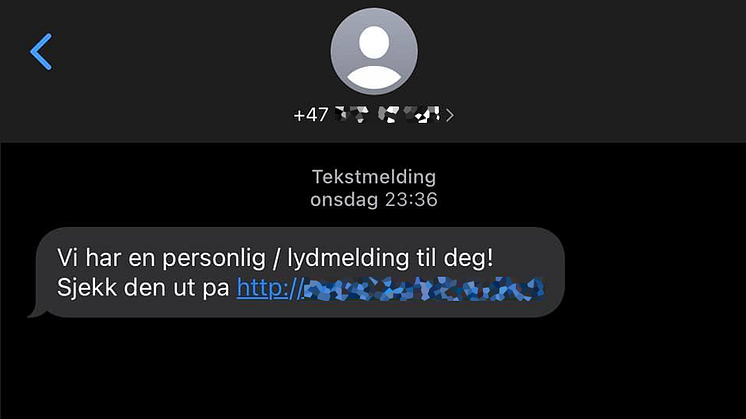 Svindlerne spiller gjerne på vår nysgjerrighet om egen person.