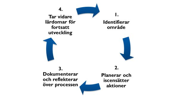 Figuren ovan visar centrala delar i aktionsforskningsarbetet i förskolor och skolor.