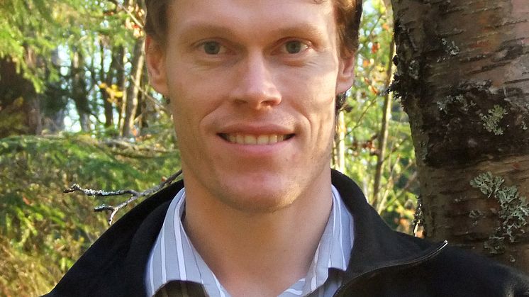 Neil Cory, Riksskogstaxeringen SLU