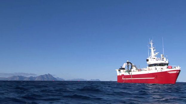 Raudåta – dyreplankton proppfull av essensielle omega-3 fettsyrer