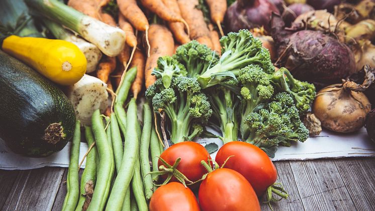 Food Systems Transformation – how do we walk the talk?