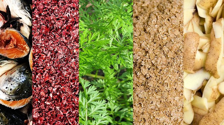 2025-03-19 Internationell heldagskonferens: From Side Streams to Main Streams – a Shift towards Sustainable and Resilient Food Systems
