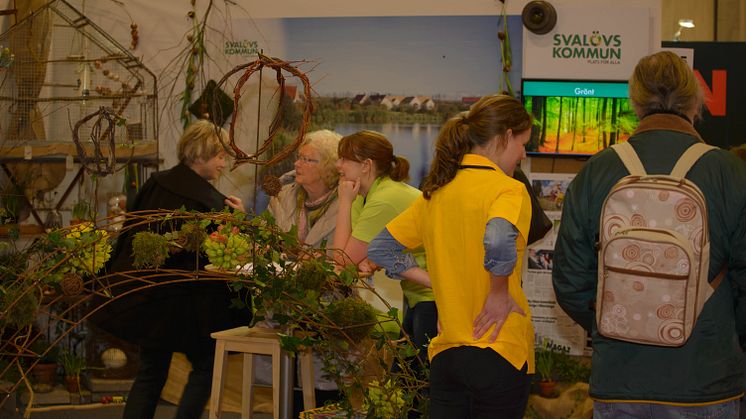 Full fart i montern
