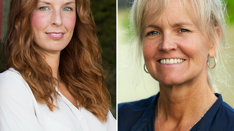 Världen förändras, Sverige förändras, hänger vi med?