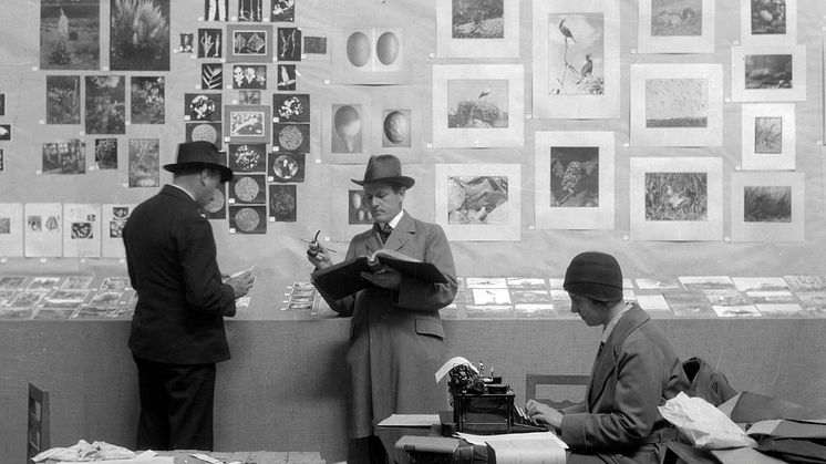 Den Internationella fotoutställningen i Göteborg, 1929. Fotograf okänd