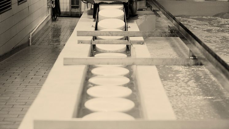 Osteproduksjon_Foto_Øyivind Haug.jpg